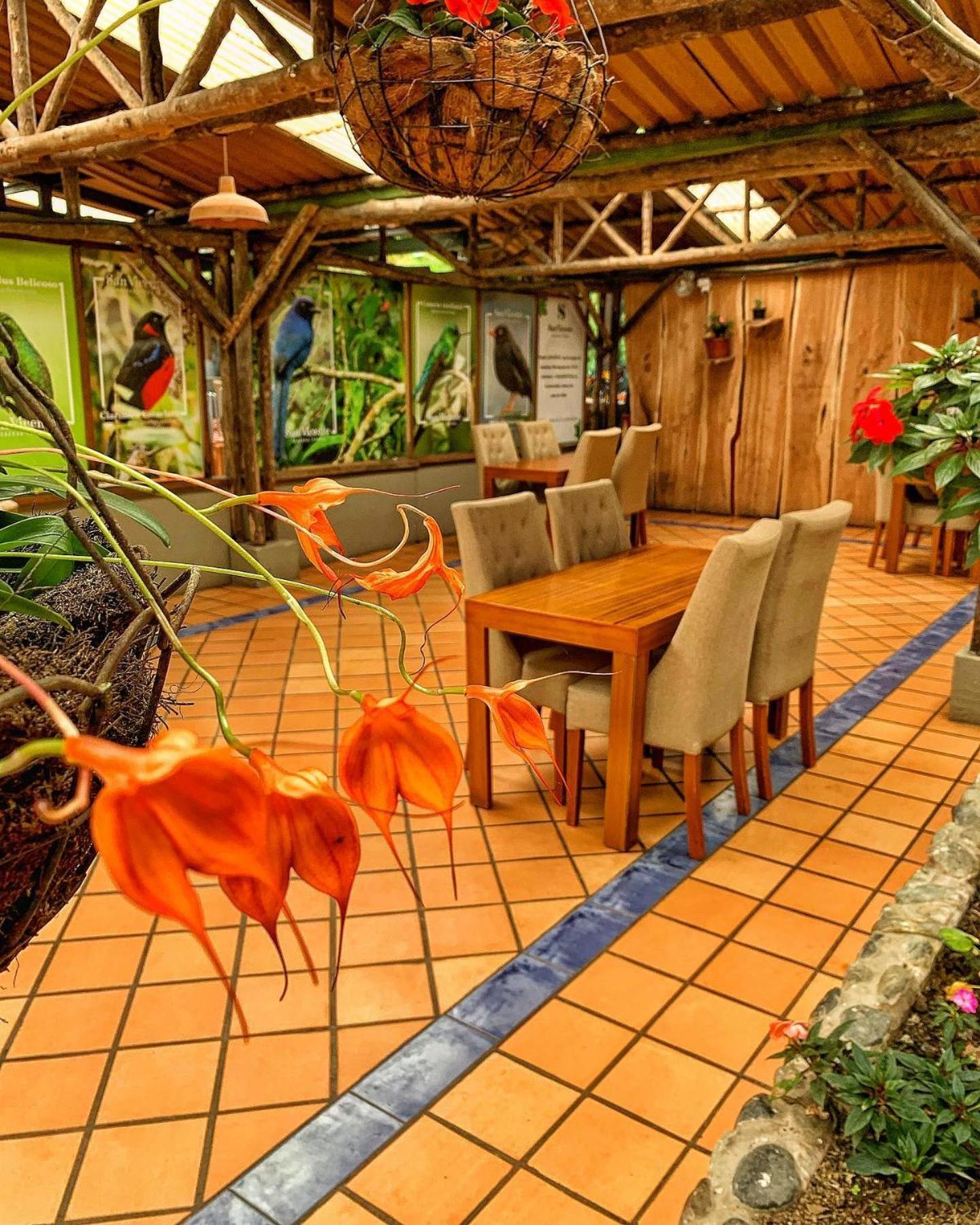 Hotel Termales San Vicente Санта-Роса-де-Кабаль Экстерьер фото