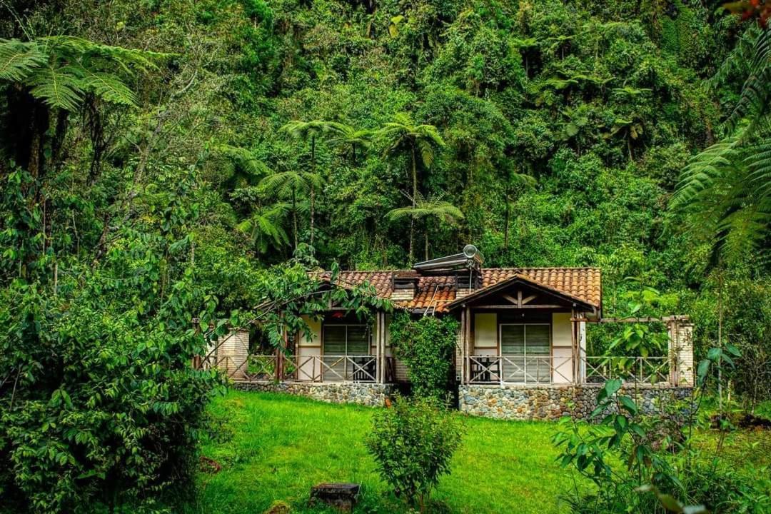 Hotel Termales San Vicente Санта-Роса-де-Кабаль Экстерьер фото